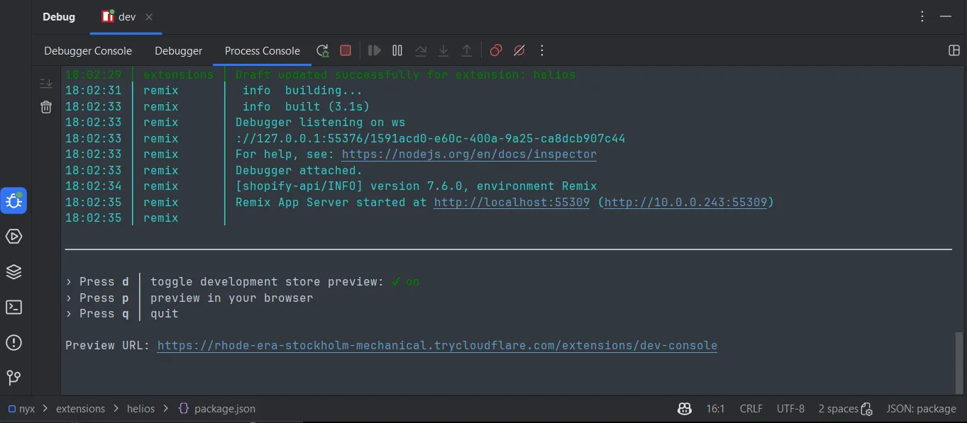 IntelliJ's Debugging npm run dev